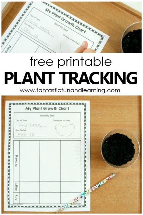 Plant Tracking Sheet for Kids - Fantastic Fun & Learning