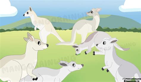 6 white boomers - I drew the kangaroos from the six white boomers song ...