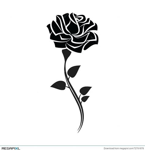 Vector Rose Outline at Vectorified.com | Collection of Vector Rose ...