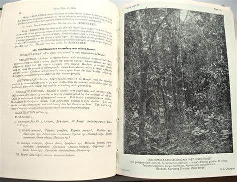 A Revised Survey Of The Forest Types Of India by Harry G Champion; S K ...