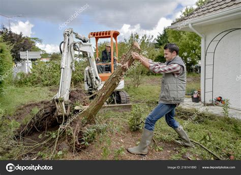 Removing Tree Garden Stock Photo by ©photography33 218141890