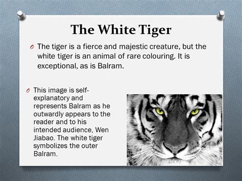 The White Tiger Language Analysis - White Tiger Wikipedia - In ...