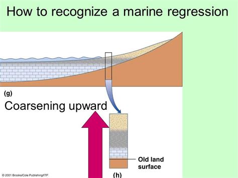 Identifying Transgression and Regression in Sedimentary Outcrops ...