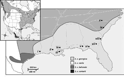 Map of the range of the Barred Owl (Strix varia), showing traditional ...