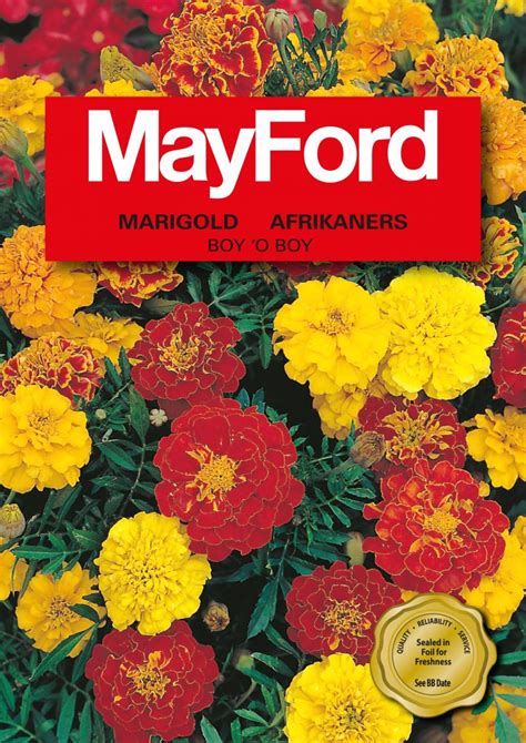 FLOWER SEEDS | Mayford