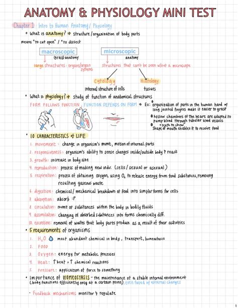 studyblr 醒醒 — [09.18.16] anatomy ch.1 notes! mini test tmrw and ...