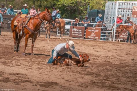 Calf Roping