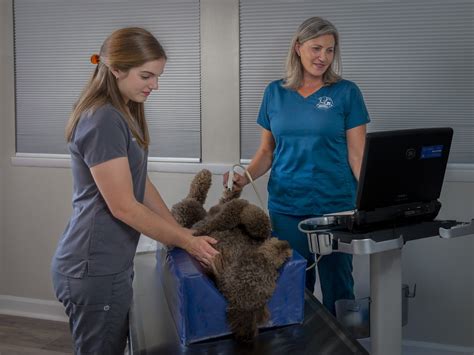 Veterinarians — Appalachian Veterinary Ultrasound