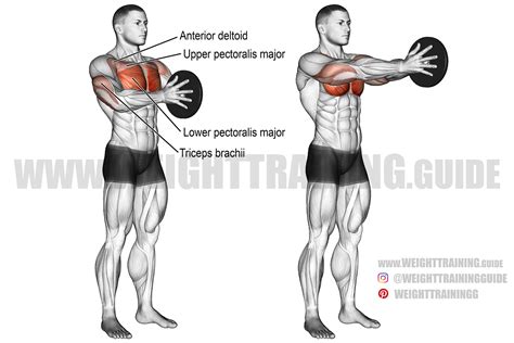 Machine chest press exercise instructions and video | WeightTraining.guide