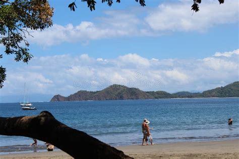 Pura Vida on the Beaches of Costa Rica Editorial Stock Image - Image of tree, cape: 275001289