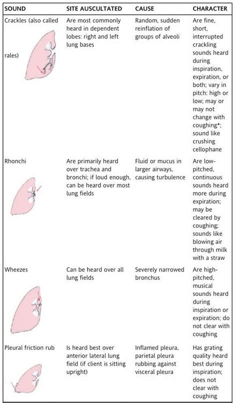 25+ bästa Lung sounds idéerna på Pinterest | Ems, Pharmacology och Nclex