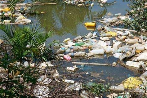 Plastic Pollution | Sources & Effects | Britannica.com