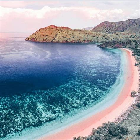 Pink Beach, Komodo National Park, Flores Island, Indonesia | Komodo national park, Komodo island ...