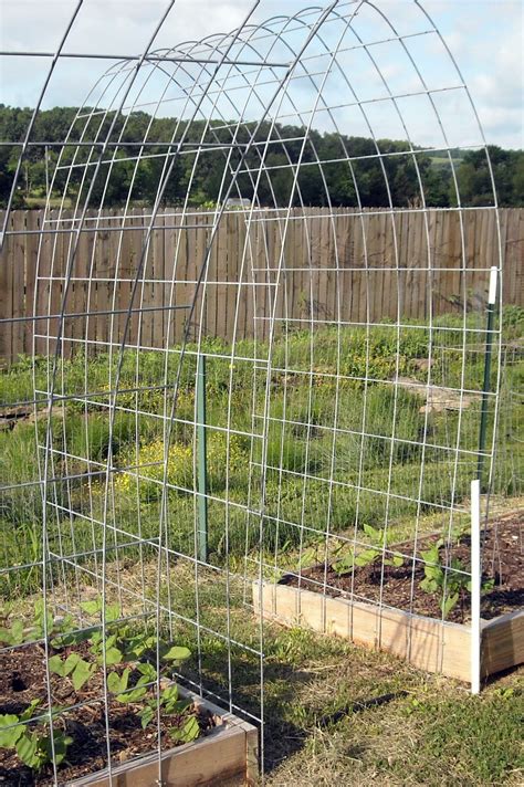 Pathway trellis - will try to grow gourds on this in 2012 | Green bean trellis, Diy garden ...