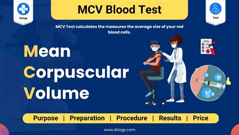 What causes high MCV without anemia?