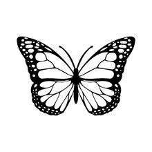 Silhouette Of A Black Butterfly Free Stock Photo - Public Domain Pictures