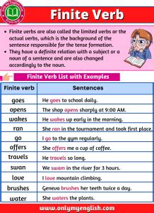 Finite Verb: Definite, Rules, Examples, and List » Onlymyenglish.com