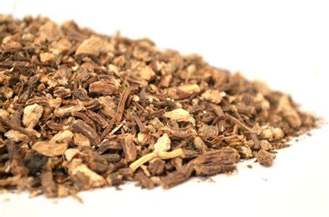 Angelica Root Tea 100g Dried Angelica Archangelica Radix | Etsy