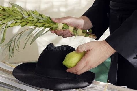 Orthodox Hasidic Performing the Commandment of Taking of the Stock Photo - Image of black, etrog ...