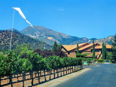 Best 9 Wineries in Calistoga CA: Explore the Top Vineyards in Wine Country - TravelEnvoy