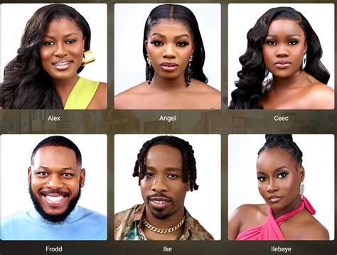 BBnaija All Star Housemates - NewsWireNGR