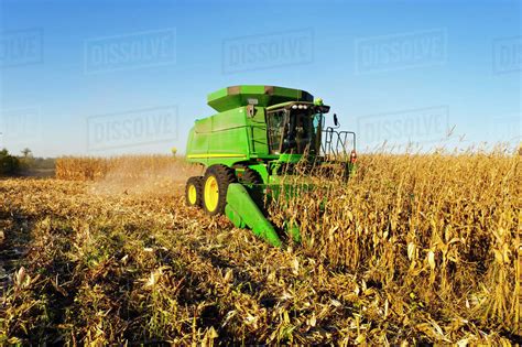 Agriculture - A John Deere combine (model 9670 STS) harvests mature grain corn in late afternoon ...