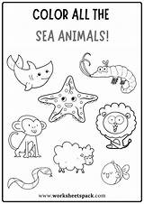 Color All The Sea Animals Worksheet Free Coloring Book PDF  sketch template