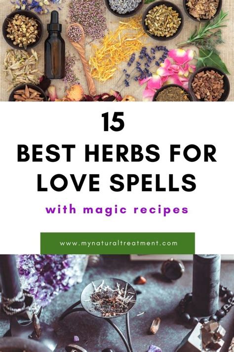 15 Best Herbs for Love Spells and Magic Recipes DIY