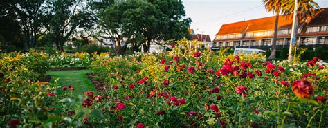 Parnell Rose Gardens - Parnell