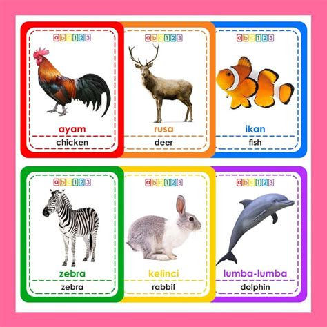 Jual Flash Card Binatang Darat Air Udara . Kartu Belajar Hewan Fauna Animal | Shopee Indonesia