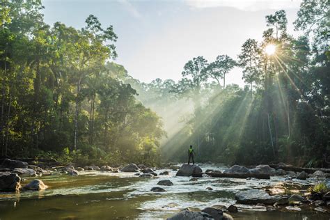 12 Most Beautiful National Parks in Malaysia – Touropia Travel