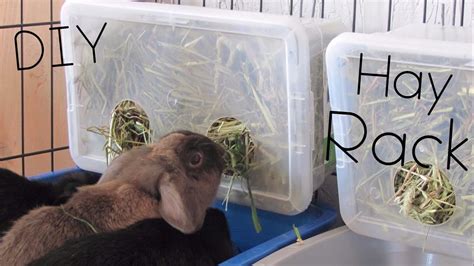 DIY HAY RACK/BOX | SUPER CHEAP! - YouTube