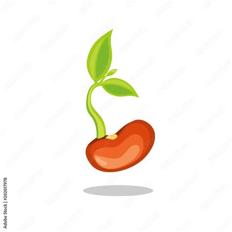 Simple sprouting seed drawing. Green cartoon sprout. Stock Vector | Adobe Stock