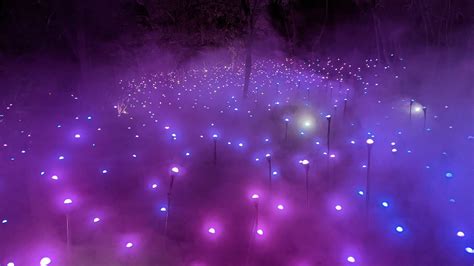 Astra Lumina is bringing a stellar night walk to South Coast Botanic Garden