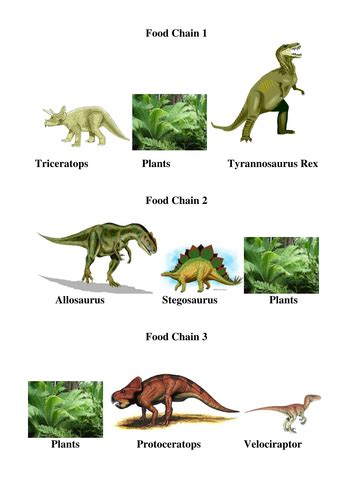 Dinosaur Food Chains | Teaching Resources