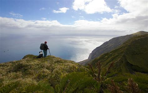 The remote island of Tristan da Cunha - The Golden Scope