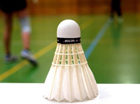 Badminton Techniques For The Beginner To Practice