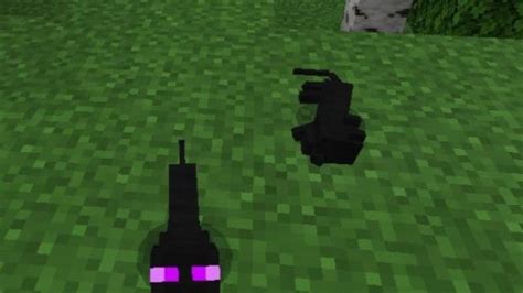 Download Cats Mod for Minecraft PE: large and small pets