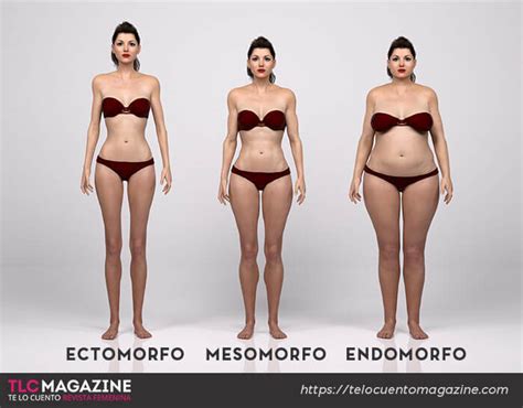 Tipos de cuerpo: ectomorfo, mesomorfo y endomorfo. Somatotipos (2023)