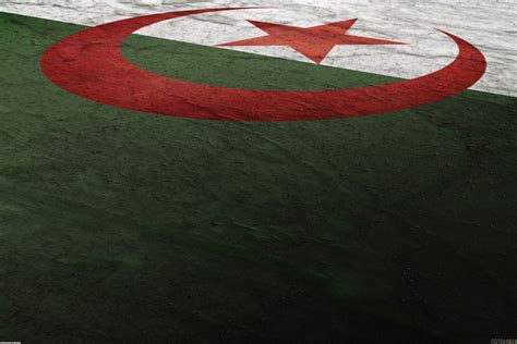 🔥 [40+] Algeria Flag Wallpapers | WallpaperSafari