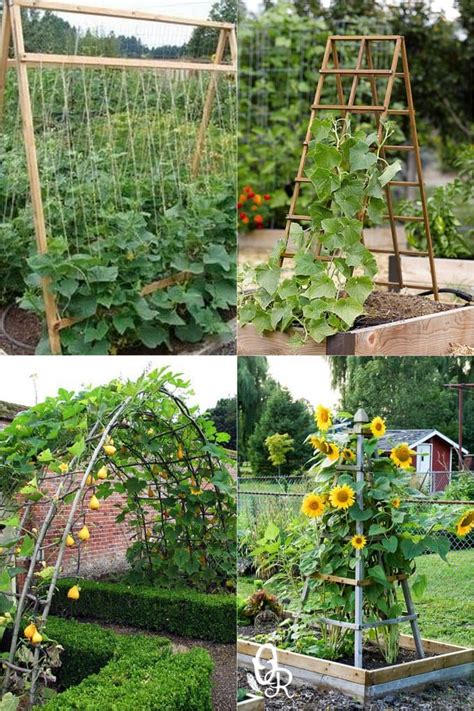 24 Easy DIY Garden Trellis Ideas & Plant Structures - A Piece of Rainbow | Garden layout ...