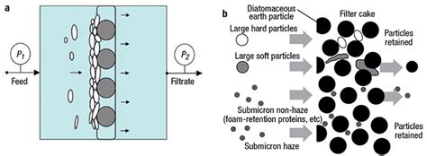 Facts At Your Fingertips: Cake Filtration Basics - Chemical Engineering | Page 1