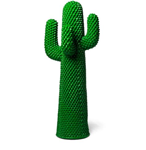 Fake Cactus, Cactus Plants, Wonder Land, Coat Stands, Rms, Outdoor Rooms, Small Rooms, Kelly ...