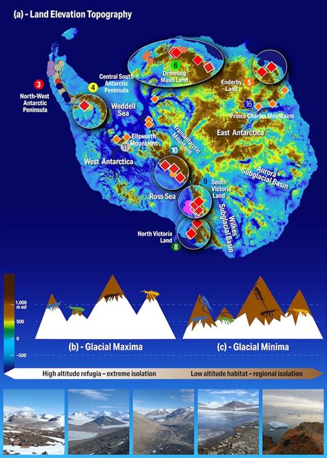 Antarctic ice age survival story: Life seeking ice-free refuges imitates art in Ice Age, the movie