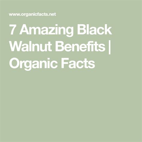 7 Amazing Black Walnut Benefits | Organic Facts | Black walnut benefits ...