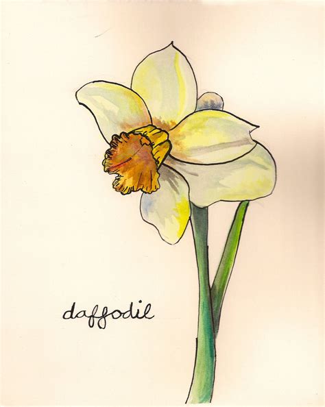 Yellow Daffodil Watercolor Print by FloraShoppe on Etsy