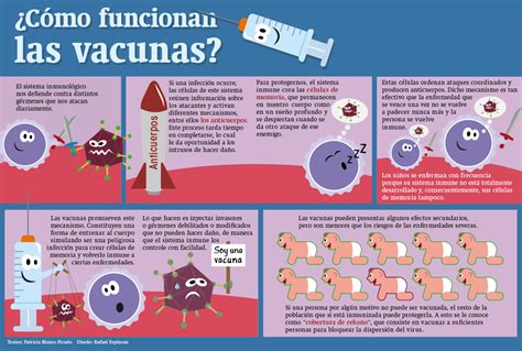 Sur oeste Punto de referencia formar que son las vacunas y cual es su ...