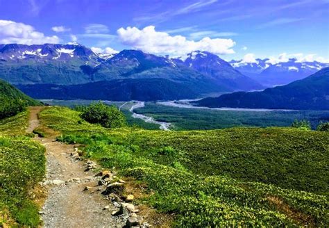 Seward Wilderness Hiking Tour | Alaska Shore Excursions