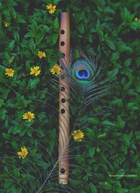 Krishna Peacock Feather Wallpaper