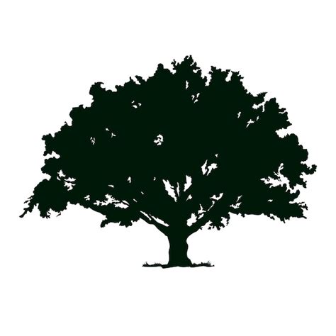 Free Vector | Hand drawn oak tree silhouette